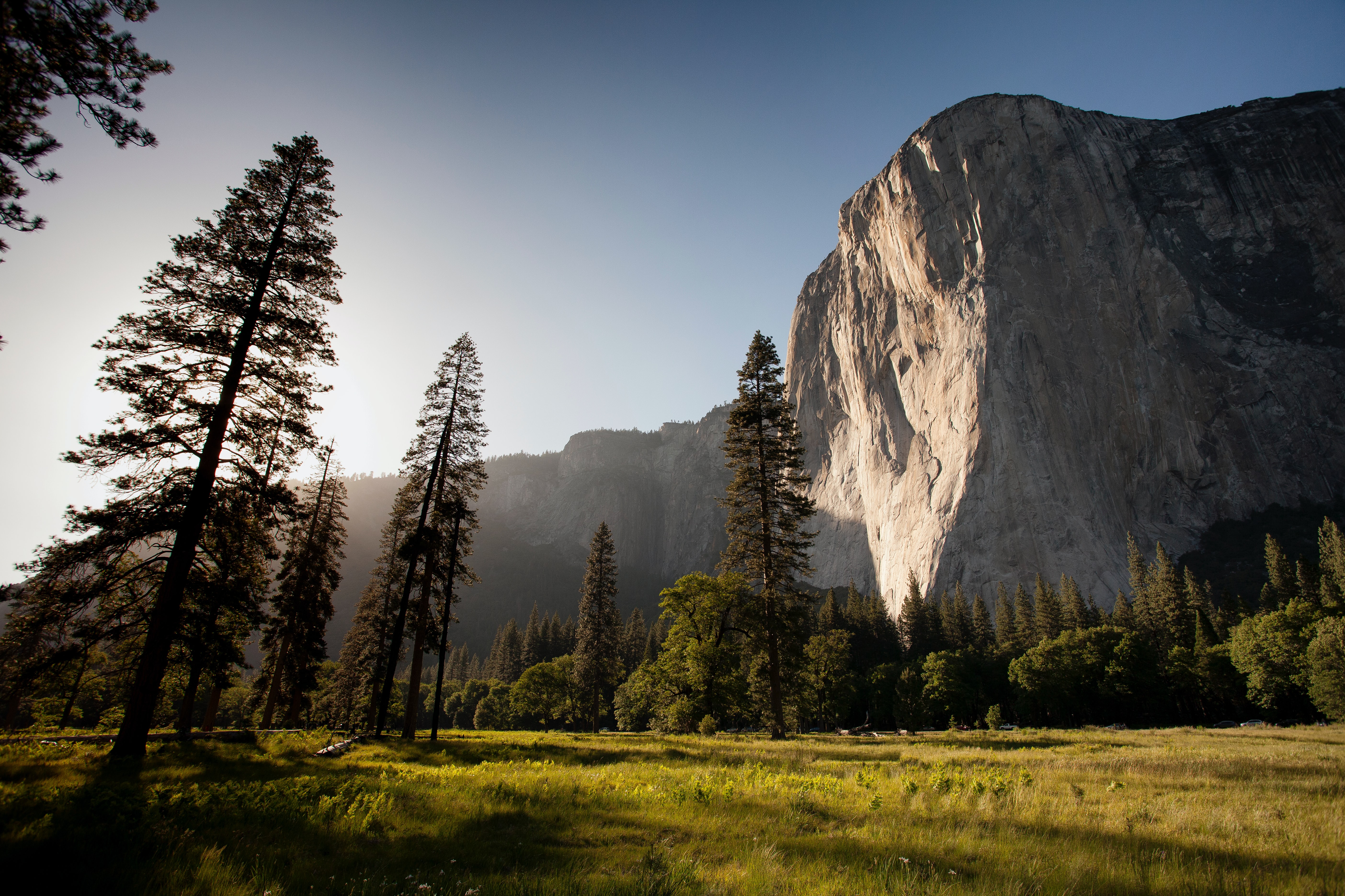 Meadow in Yosemite Valley